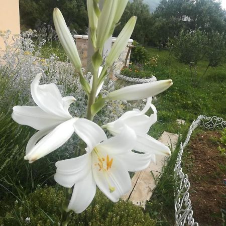 Castello Flower Apartment Kaštela Eksteriør billede